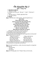 giáo án buổi 2 lớp 3