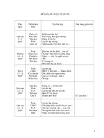 Tuần 29 lớp 4 SN