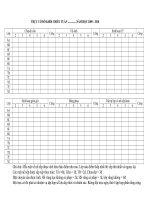 Mẩu sổ trực cờ đỏ