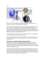 Virus - mối quan hệ sinh vật