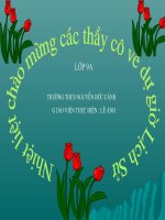 Tiết 42: Các nước trực tiếp chiến đấu chống mĩ cứu nước(1965-1973)