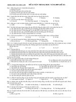 Đề thi đại học hoàn chỉnh