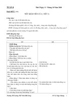 GA lớp 4Tuần 8 .CKT- BVMT