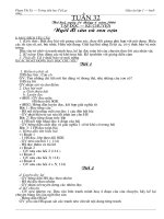 giáo án lớp3 tuần 32