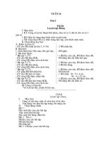 Giáo án buổi 2- Tuần 16