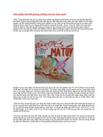 Giải pháp nào để phòng chống ma túy hiệu quả