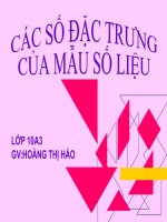 Cac so dac trung