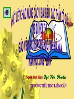 anh sang can cho su song