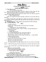 G.a lớp 2 tuần 8 ( BL )