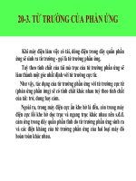 20-3. Từ trường phần ứng máy điện đồng bbooj