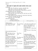 CN8 TUẦN 12(2008-2009)