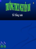 Giáo án điện tử AV 8