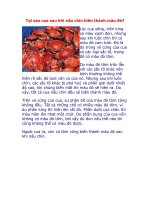 Tại sao cua sau khi nấu chín biến thành màu đỏ