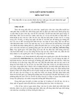 SANG KIEN KINH NGHIEMSKKN - NGUVAN THCS.doc