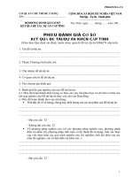 Phiếu đánh giá cơ sở kết quả đề tài Dự án KHCN cấp tỉnh.