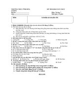 Đề thi khảo sát tin 7