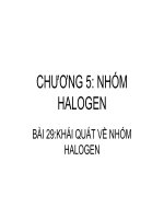 Tiết 48: Khái quát nhóm Halogen