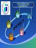 Tiết 7 - Bài 7 Bài Tập Chương I SH9