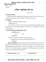 giao an chuan nv72009-2010