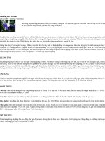 Hoa lồng đèn(Hoa đăng)