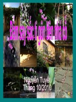 Đắm say sắc ti gôn bên nhà cổ