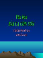 bai ca con son_thuyet trinh