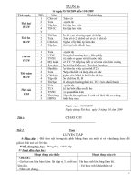 giao an lop 3 CKTKN ( huong dn)