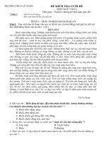 NGữ văn 6 - trắc nghiệm cuối hè