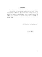 Trade finance centralization in a vietnamese bank the case study of BIDV 