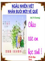 T38 HỒI HƯƠNG NGẪU THƯ