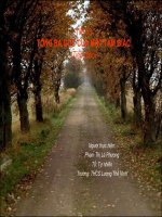 Toán 8: Tổng ba góc của một tam giác