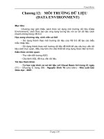 MÔI TRƯỜNG DỮ LIỆU (DATA ENVIRONMENT)