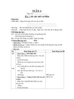 Giáo án Tiếng việt 1 HK I