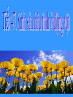 Bai 45: Sinh san huu tinh o dong vat