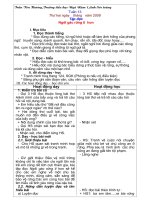 Giáo án 5 Tuần 13