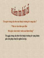 Từ tượng thanh, từ tượng hình