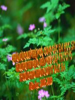 Bài 36. Phát triển của thực vật có hoa