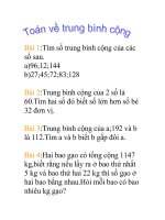 toan trung binh cong