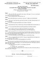 Đè Sinh Chuyên SP Hà Nội ( 2010 )