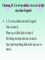Tâm lý người