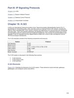 IP Signaling Protocols - H.323