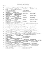 Frequentative form.doc