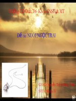 Kỹ thuật nuôi ngọc trai