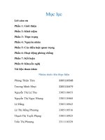 bai tieu luan bạo hành gia đình