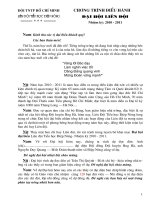 Chương trình Đại hội Liên đội