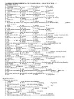 Cambridge First Cẻtificate examination Practice 1