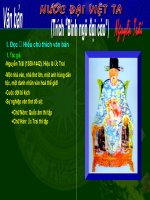 Văn bản: Nước Đại Việt ta