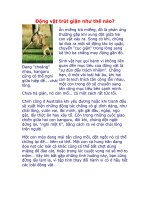 Động vật trút giận như thế nào