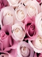 bội chung ươc chung