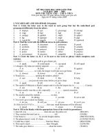 Đề thi HSG tỉnh môn T.Anh 9